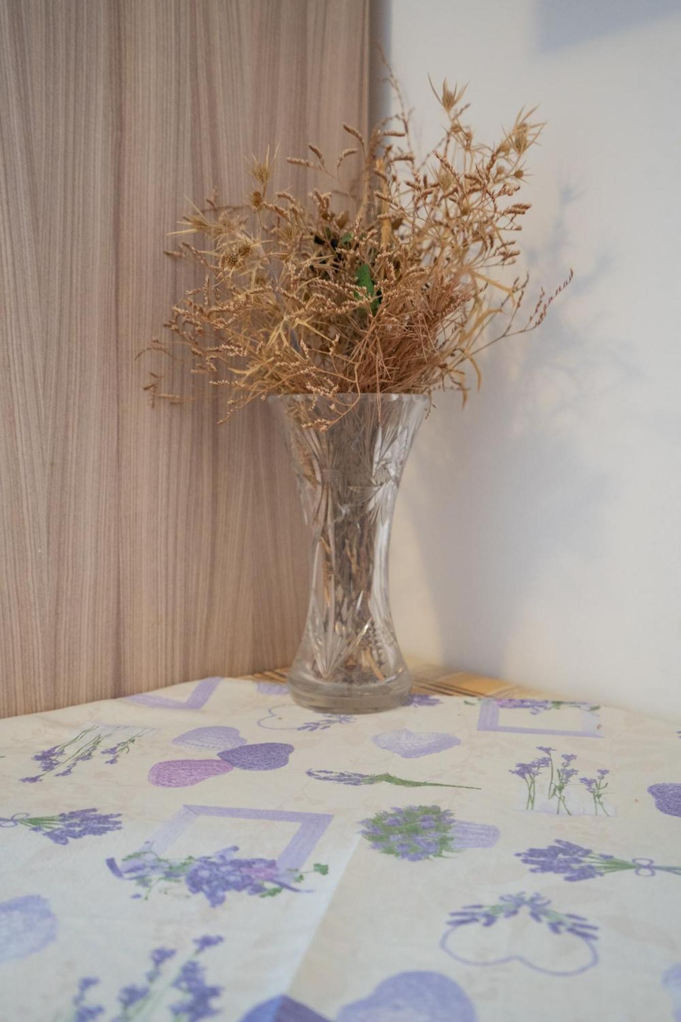Apartmani Vidusin Novalja Ngoại thất bức ảnh